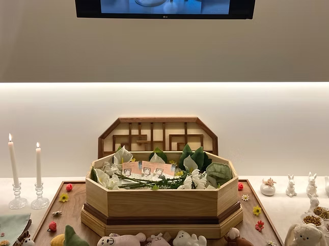 '자연 숲' 장례